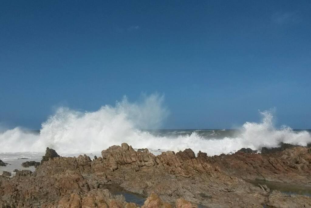 Bettyʼs Bay Heaven'S Door 빌라 외부 사진